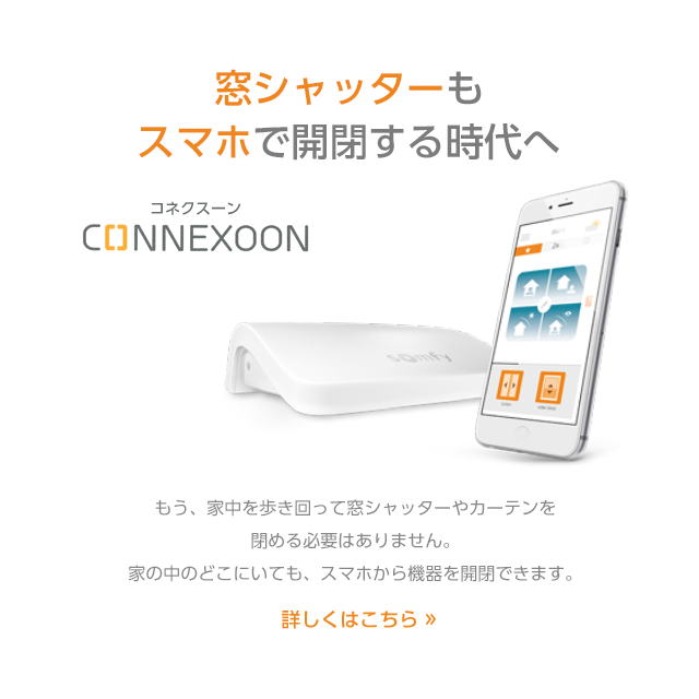 コネクスーン CONNEXOON somfy - その他